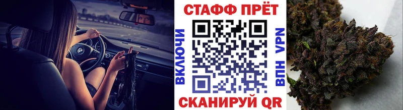 НБОМе Кингисепп
