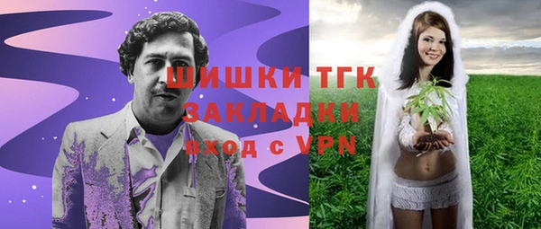 стаф Богданович