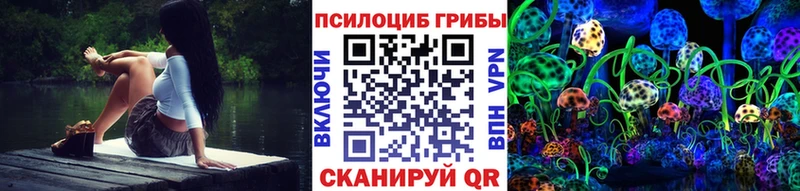 MEGA ссылка  Кингисепп  Галлюциногенные грибы MAGIC MUSHROOMS 